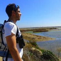 Marti Ramos的照片