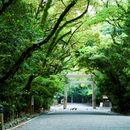 📍 Atsuta Shrine – Late Hatsumōde Walk & Café Chat's picture