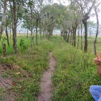 Fotos de Ermitaño  Errante