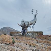 Anas Mohamed's Photo