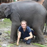 Indigo Gebbett的照片