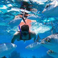 Photos de Erick Soledispa