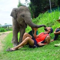 Clémitcho La Mitcho的照片