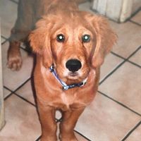 Photos de Daniel Mlosh