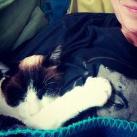 Amelie Willert's Photo