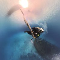 Baltazar Del Mar's Photo