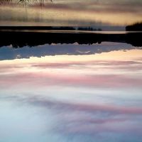 Andrei Pădureac的照片