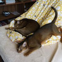 Stepan Srdecny的照片