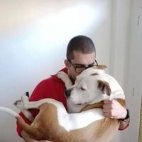 Federico Toscano的照片