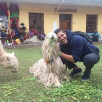 George Idzhyan的照片