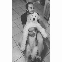 Anthoni Morrow的照片