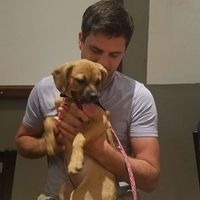 Joe Creaghead的照片