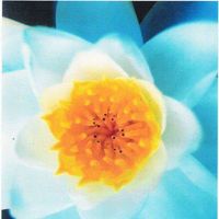 Cynthia Kirchner Beard's Photo