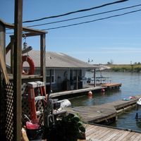 Le foto di Daniel Cheek