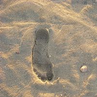 Félix Morales's Photo