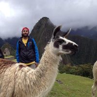 Alvaro Hipp的照片