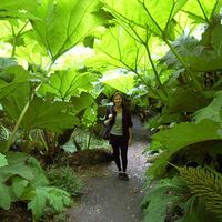 Morgan Brain's Photo