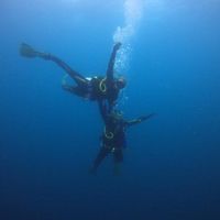 Zdjęcia użytkownika Zoe Moyer