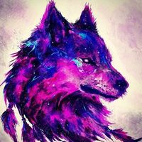 Photos de Ilja Tourunen