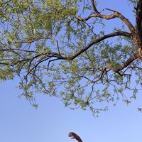 Siddhant Chaudhary's Photo