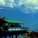 Mardi Himal Trek volunteer's picture