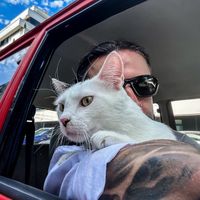 Serkan Falay's Photo