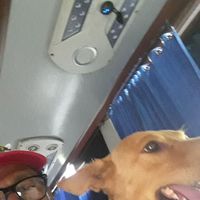 José Castañeda's Photo