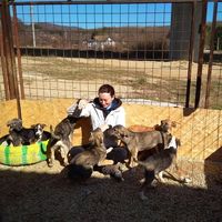 Nieve Heskin's Photo