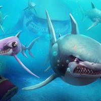 lyndseyjeffer lyndseyjeffer的照片