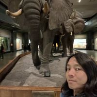 Primitive Man's Photo