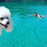 Valentina Puddu的照片