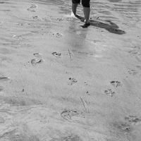 Fotos von Laurie Bush