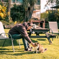 Shuntaro Hachiya的照片