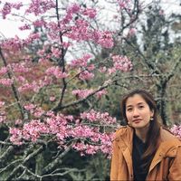 Jessica Tan的照片