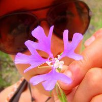 Fotos de Lydia Martin