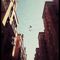 Photo of F