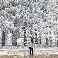 Sharon Hsieh的照片