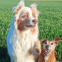 Morgane Buchet's Photo