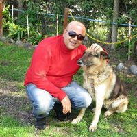 Vahid Rahimi的照片