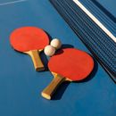 Ping Pong Tournament 's picture