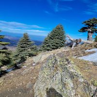 Le foto di Ikram Ikram