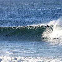 rodrigo Estefanell's Photo