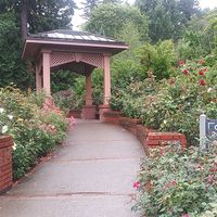 Gary Tamarkin的照片