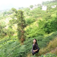 eti Yang's Photo