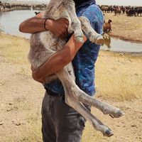 Mani Khayatzade's Photo