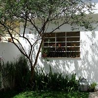 nana caetano's Photo