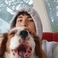 Enis Yumrukaya的照片