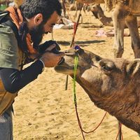 Divy Bhagia的照片