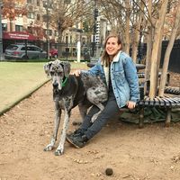 Alexandra Botlo's Photo