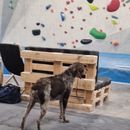 Bilder von Let's try Bouldering 